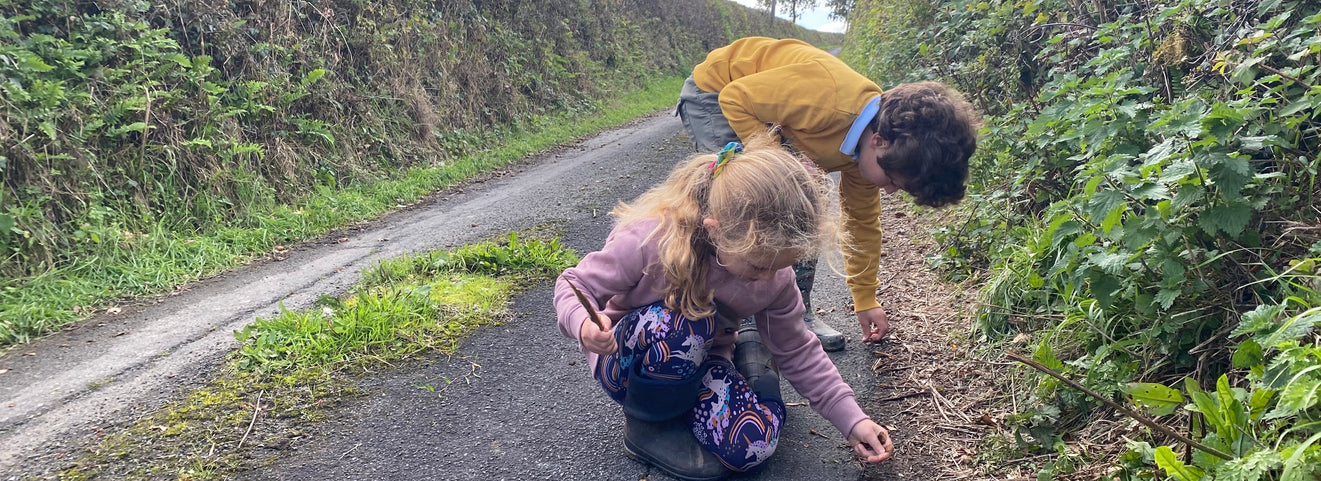 School Runs, Slow Worms and Half-Drunk Cups of Tea