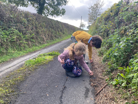 School Runs, Slow Worms and Half-Drunk Cups of Tea
