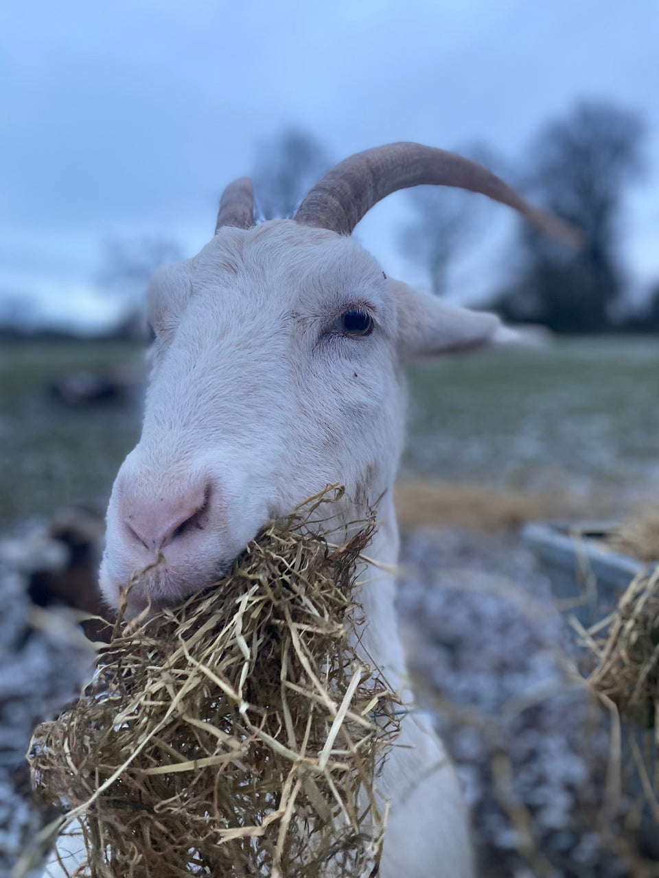 Do we need to beat the January blues?