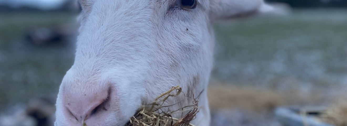 Do we need to beat the January blues?