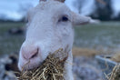 Do we need to beat the January blues?