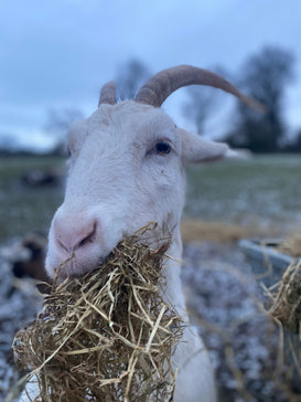 Do we need to beat the January blues?