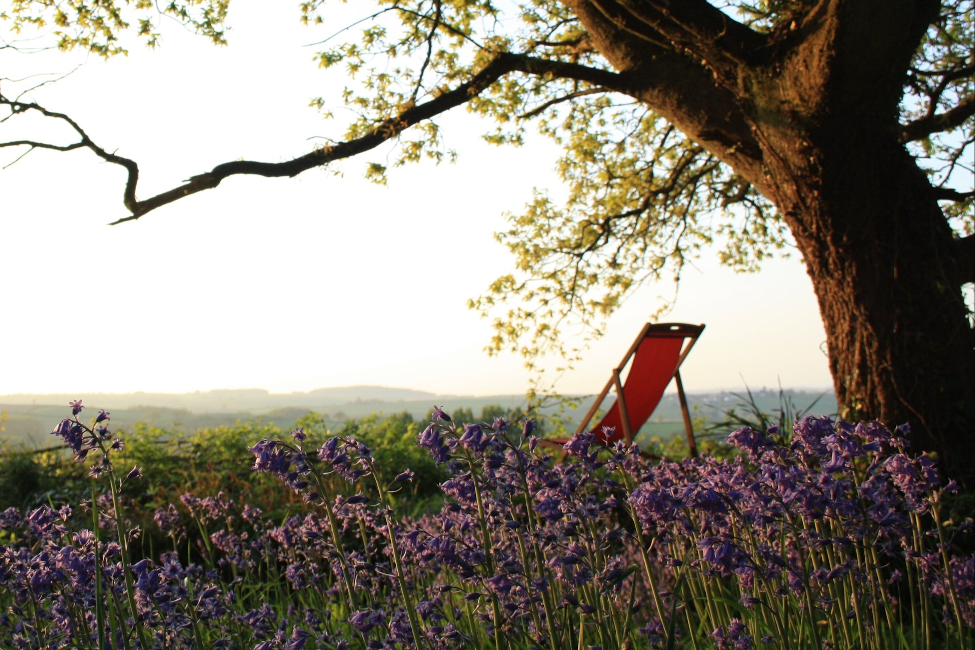 Life in the Devon Lane