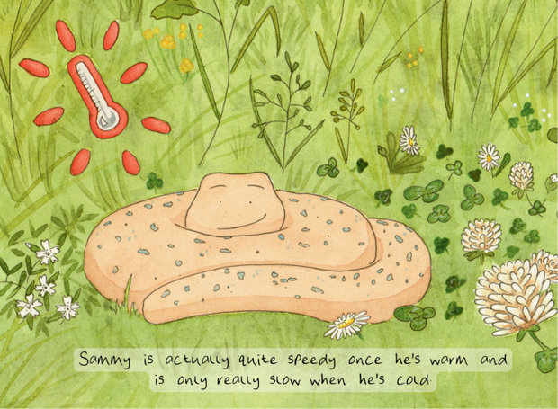 Sammy The Slow Worm
